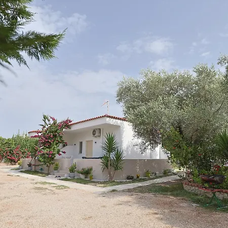 Guest house Juna