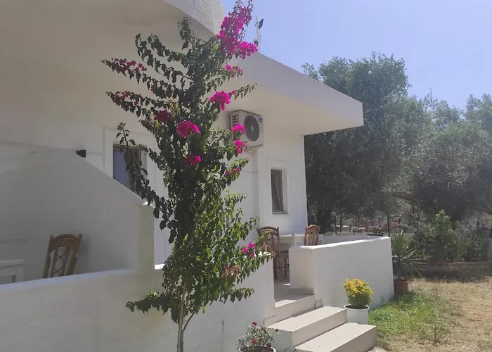 Juna بيت ضيافة