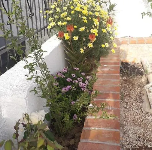 Juna بيت ضيافة